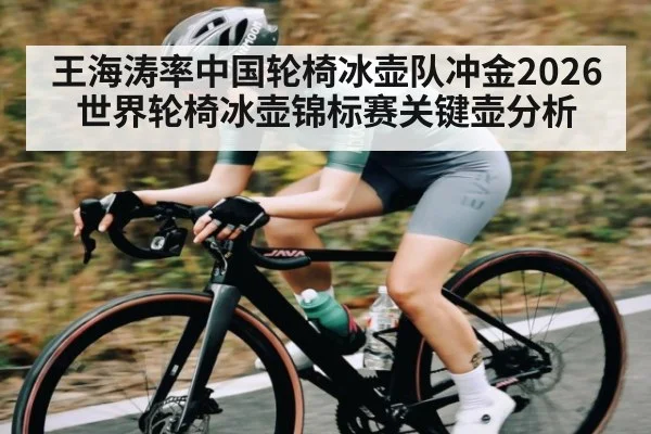 王海涛率中国轮椅冰壶队冲金2026世界轮椅冰壶锦标赛关键壶分析